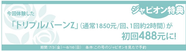 定価2 4万円 ミスパリ ダンディハウスエステチケット トリプルバーンz その他 Maquillajeenoferta Com